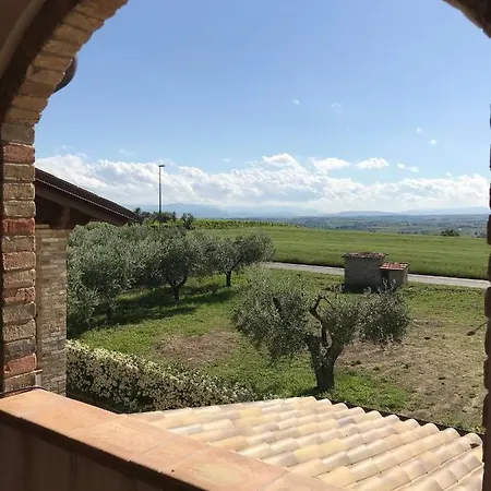 Il Podere Del Carlone Bed & Breakfast Vasto